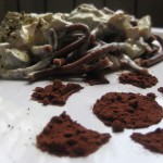 Strangozzi al cacao con panna e funghi